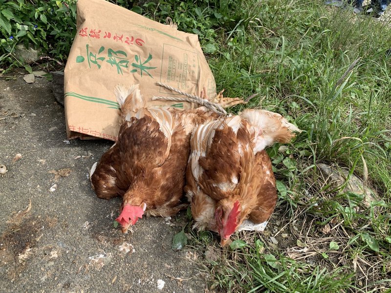 閲覧注意 スーパーの鶏肉じゃなく 屠殺 とさつ した鶏肉を食べたことで 改めて生産性について考えさせられた話 Tsuzuku98 Note 閲覧注意 スーパーの鶏肉じゃなく 屠殺 とさつ した鶏肉を食べたことで 改めて生産性について考えさせられた話 Tsuzuku98 Note