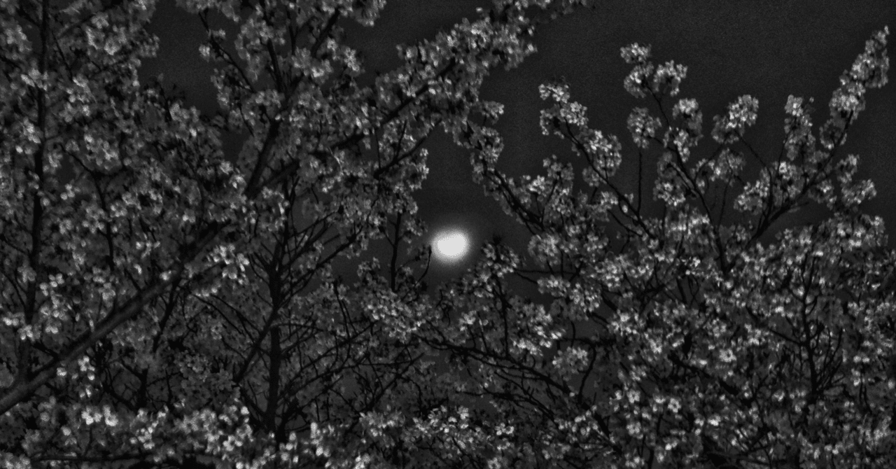 自分の写真は好きですか？｜🅣ⓄⓀⓎⓄ Ⓢ🅣ⓇⒺⒺ🅣 🄿🄸🅇