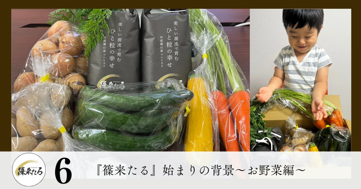 安心安全完全無農薬丹波産美味しい無農薬野菜詰め合わせ果物コシヒカリ