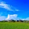 tumugi