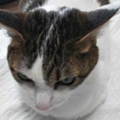 伊東麻紀＠新刊『根の島』発売中