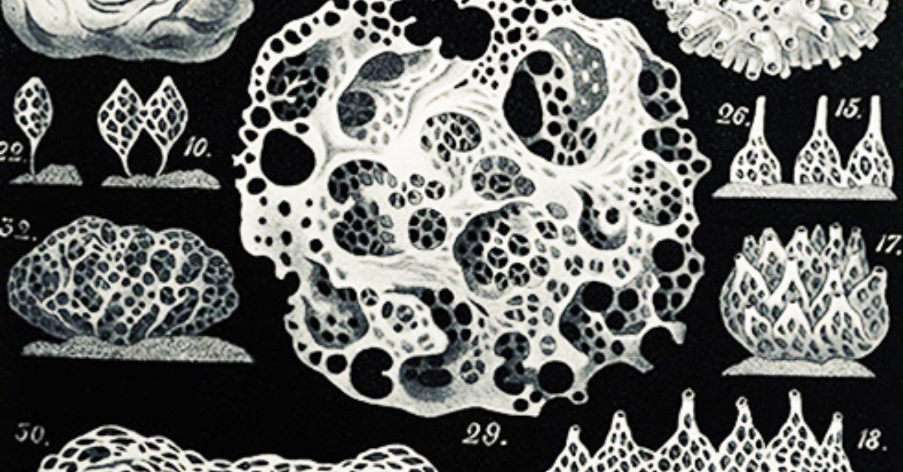 ホンモノとは をめぐって スポンジ 自動車 マーガリン 竹内孝治 元 住宅営業マン Note