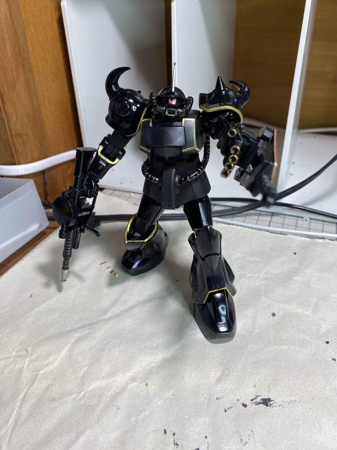 今日の2枚:エコプラ・グフ完成｜phantasien