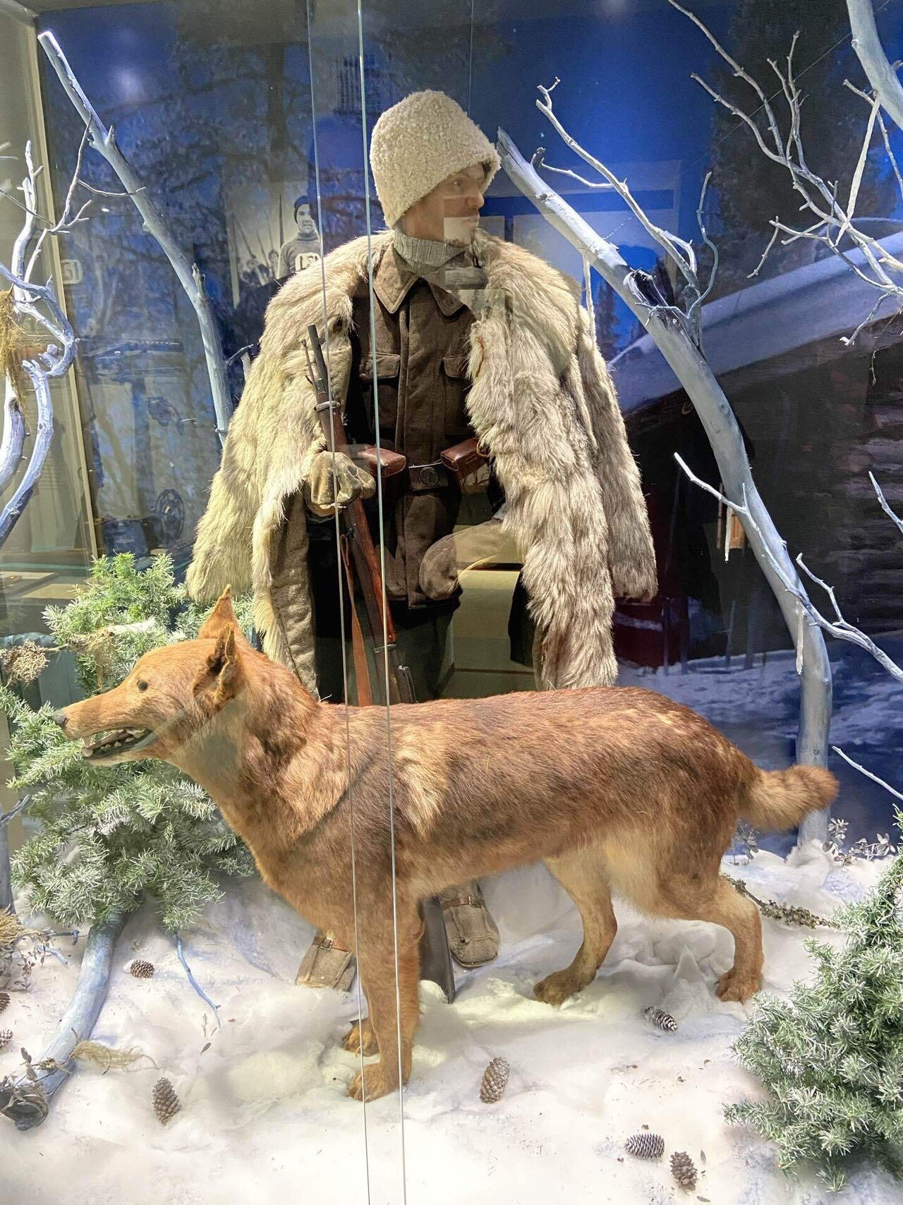 MTG 語りの神、ビルギ KHM ロシア語 4枚 MTG 語りの神,ビルギ KHM