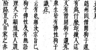 89e7aa68dde09fe36d495812dbb8d8