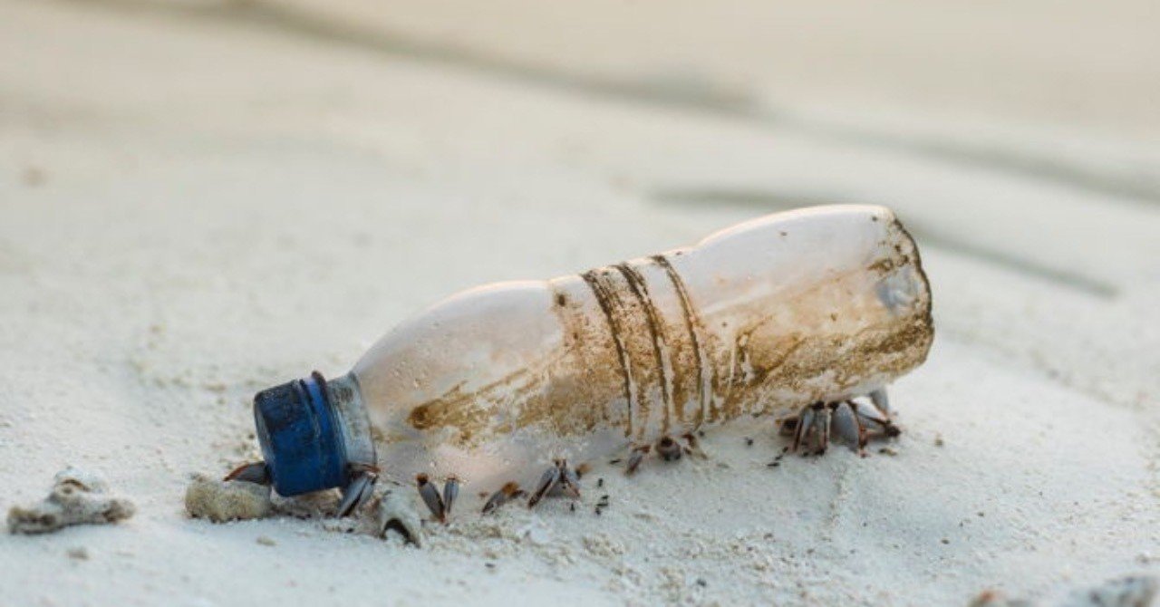 ペットボトルを分解して環境問題を解決する 夢の酵素 は本当にすごかったのか shinya fushinobu note