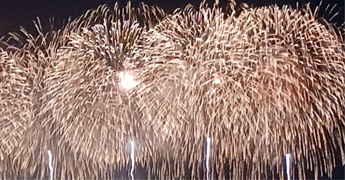 長岡大花火大会西エリア花火チケット2日 日本三大花火】 2023年