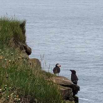 つかさまき｜Maki Tsukasa in London
