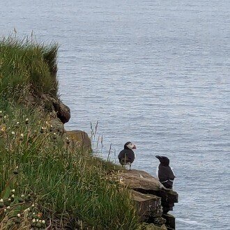 つかさまき｜Maki Tsukasa in London