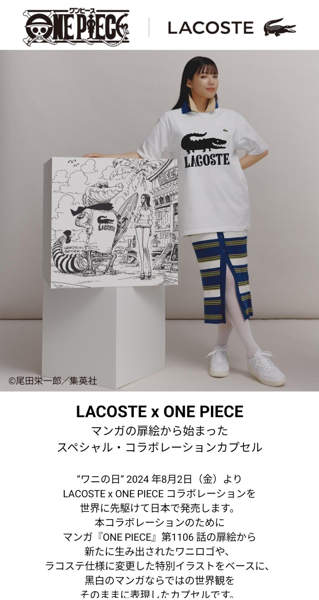 日本限定発売＞ ONE PIECE ワニロゴ ソックス