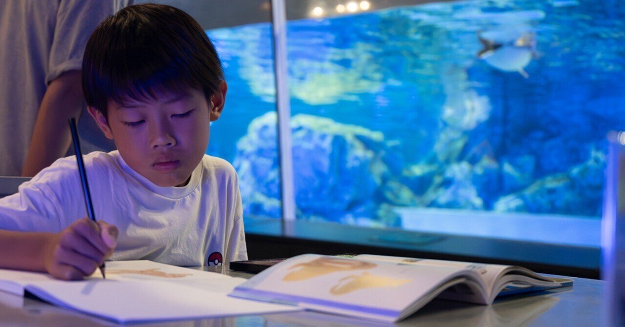 夏やすみのお出かけにおすすめ！水族館に行って、水の生き物を見ながら