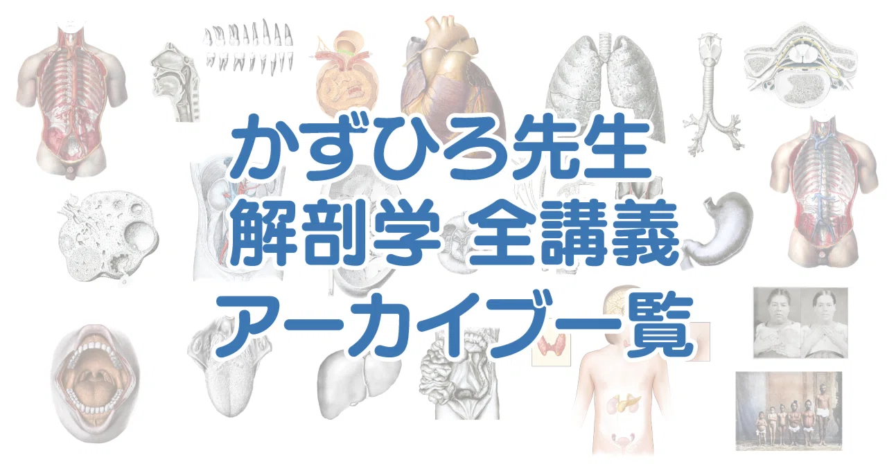 全講義動画アーカイブ一覧｜かずひろ先生（黒澤一弘｜解剖×教育×AI）