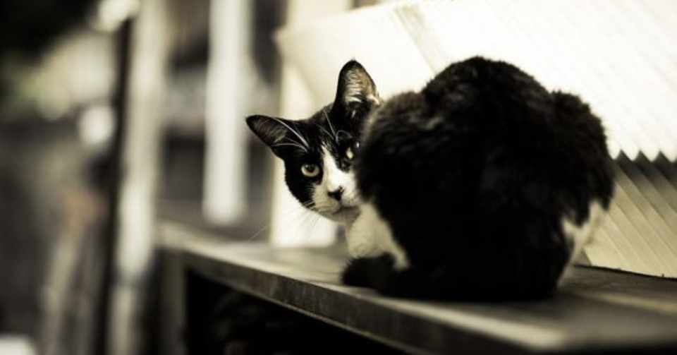 とても腑に落ちた 別れた後の男性と女性の大きな感覚の違い 小梅 Koume Note