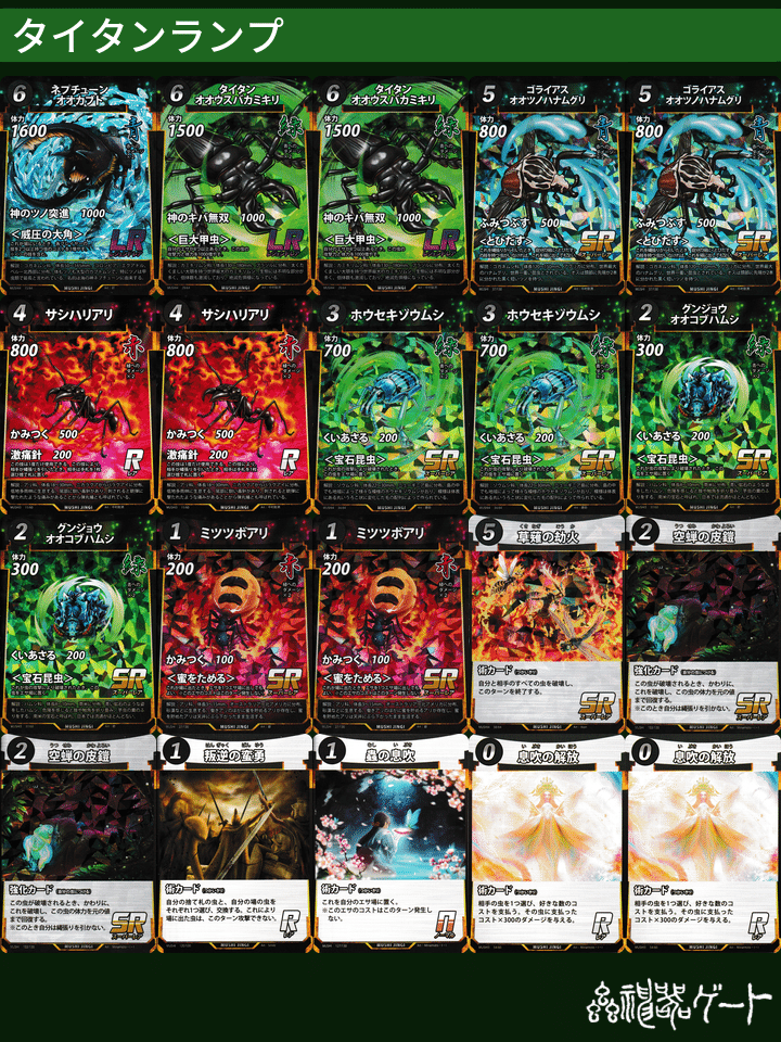 昆虫トレーディングカードセット 昆虫カードセット