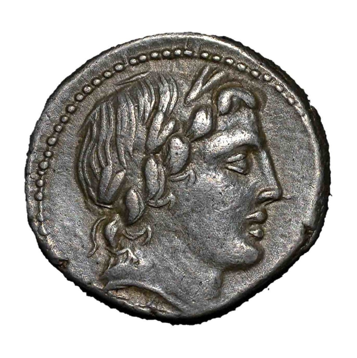 アンティークコインの世界 〜コインと共に神話を追う〜｜Shelk🦋