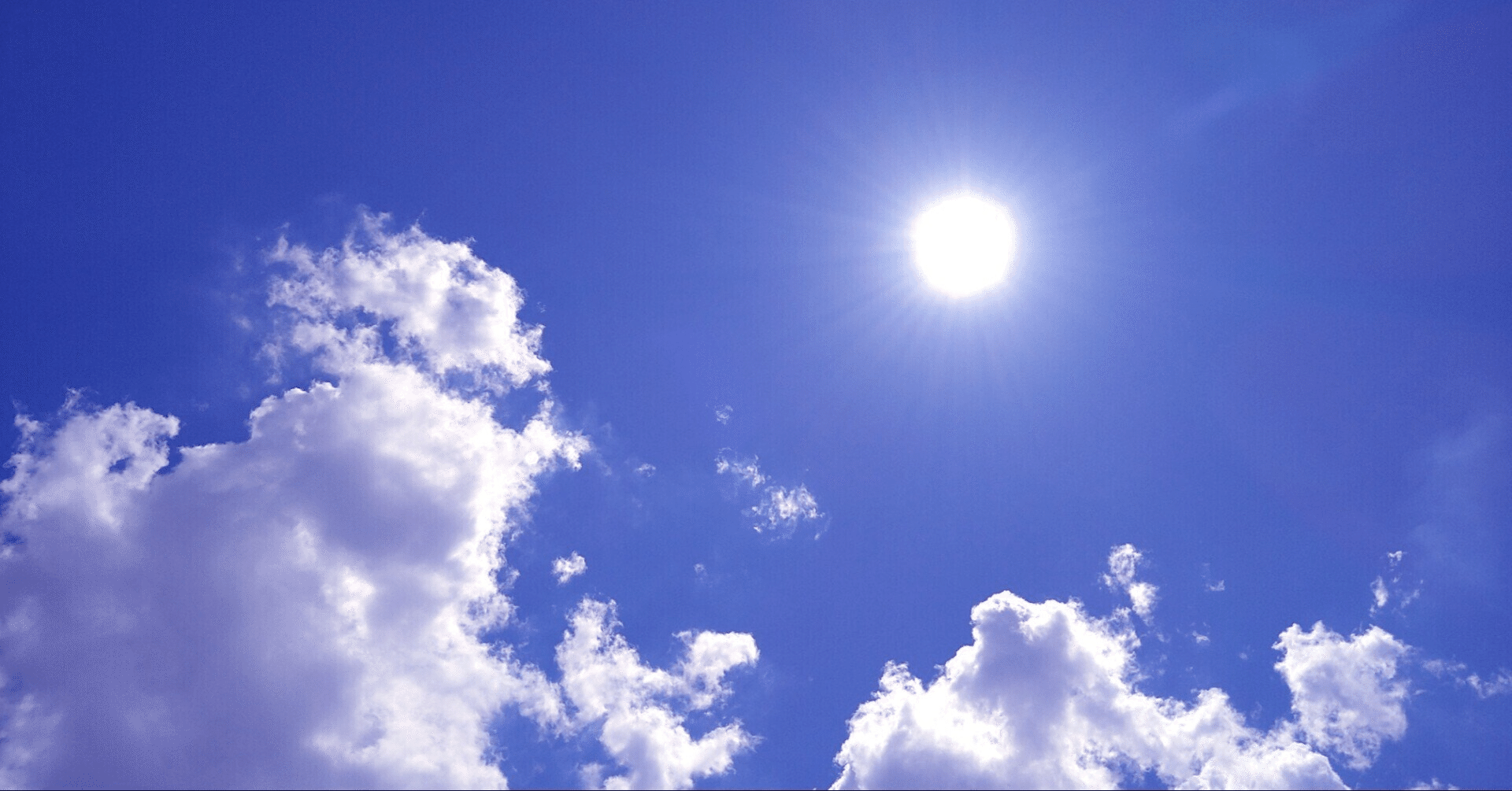 中学受験】Gnoble 5年生夏期講習が始まった（2024年7月）｜いかすみ