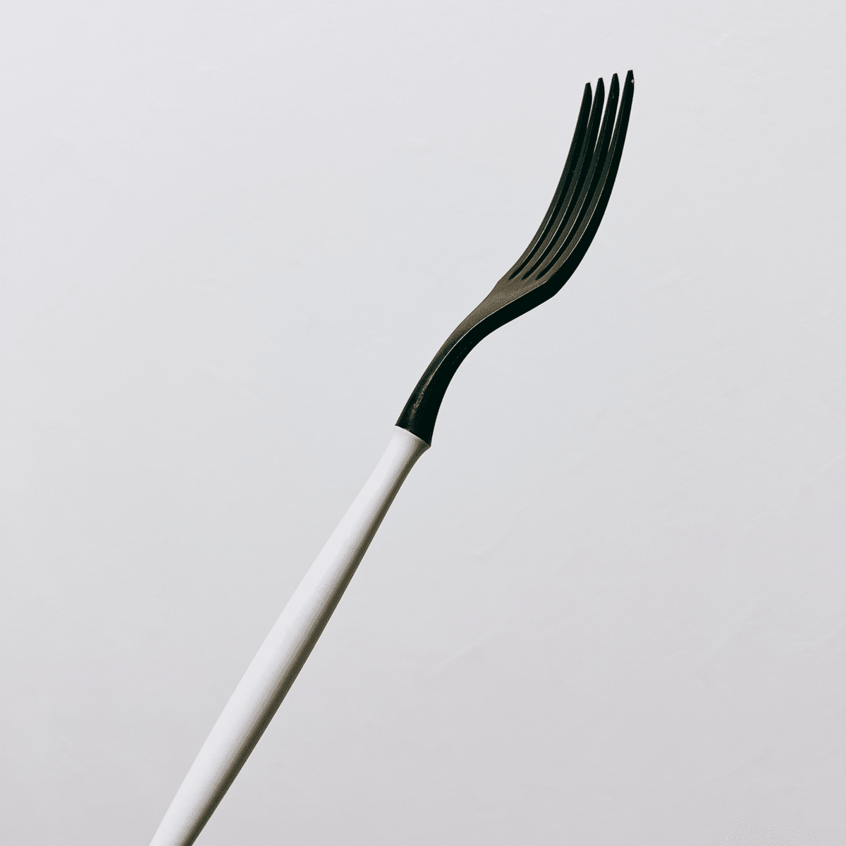 割れないおしゃれなARASの食器 〜サンのお気に入りを紹介して