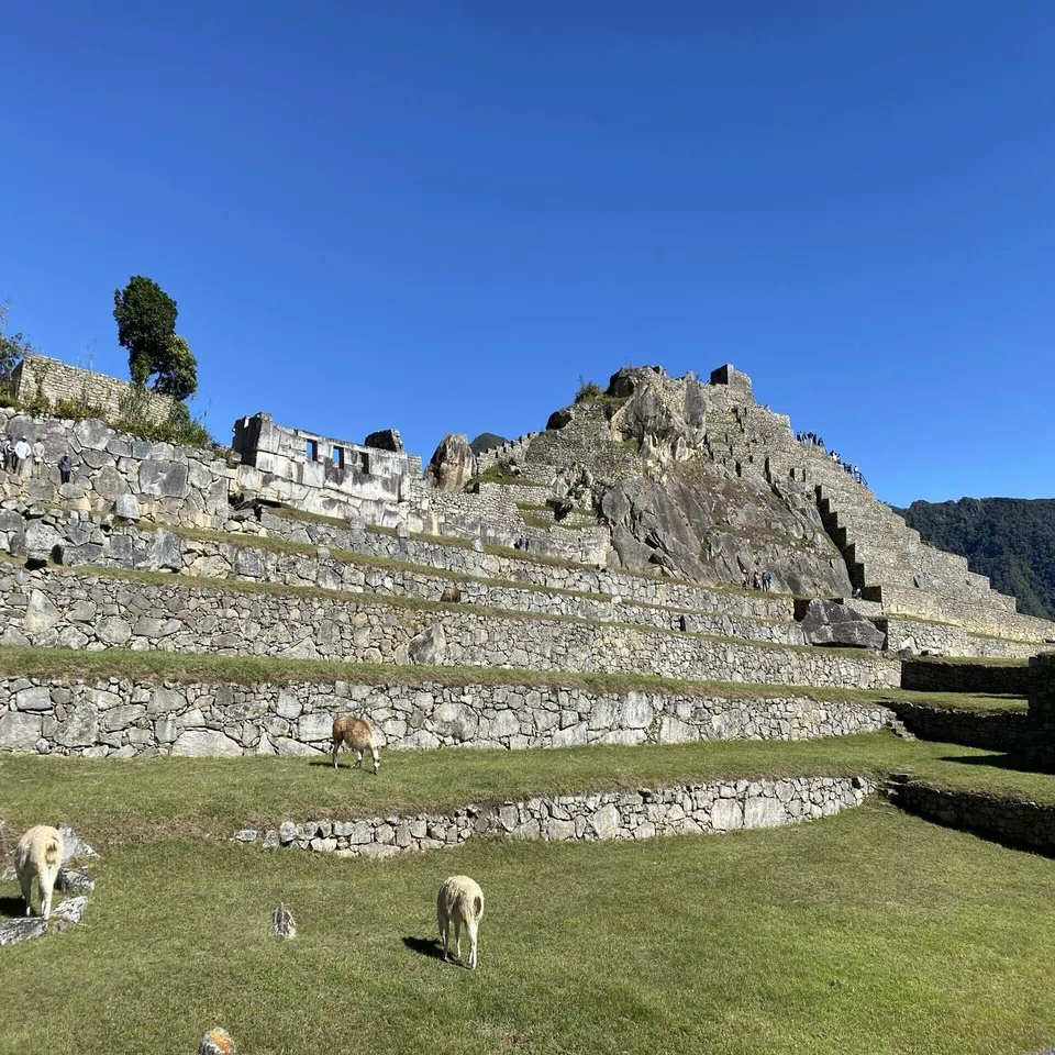 ラテンアメリカ旅行 #34】?? 古代インカ帝国の遺跡マチュピチュへ 