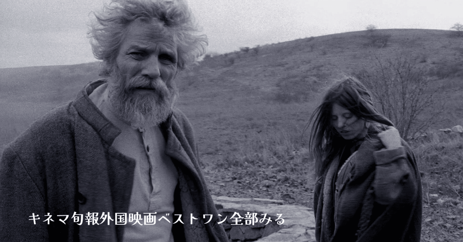 ニーチェの馬 [DVD]　セル版 Amazon.co.jp: ニーチェの馬 [DVD] : ボーク・エリカ, タル・ベーラ