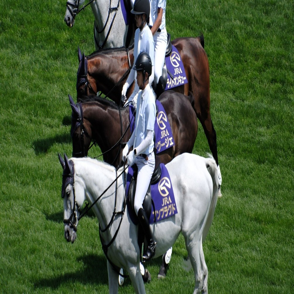 X-T5】競走馬を撮る～AF性能は向上したのか？｜No.54