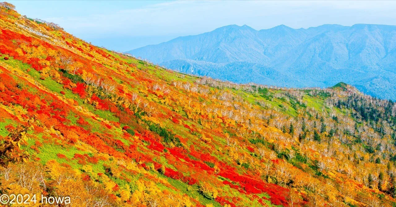 大雪日和 -銀泉台で紅葉狩り-｜山日和｜クマスプレーレンタル