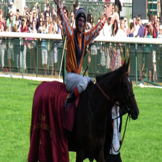 血統から紐解く競馬予想で馬券的中？ライターならではの休日の遊びでも