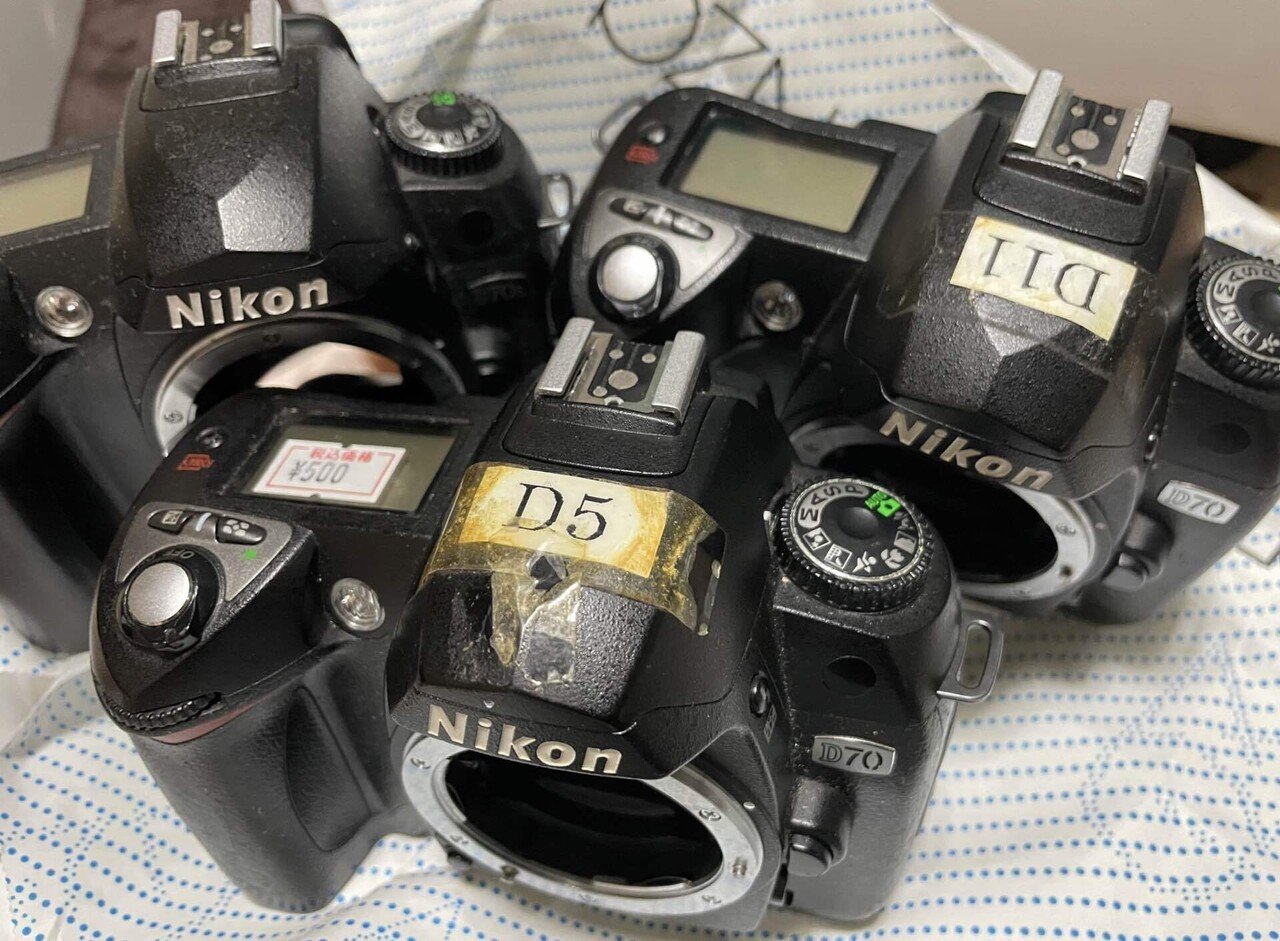ワンコインNikon D70の実力|けいふ ワンコインNikon D70の実力|けいふ