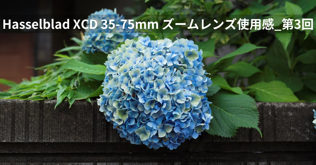 Hasselblad XCD 35-75mm ズームレンズ使用感_第3回｜Naoto Takazawa