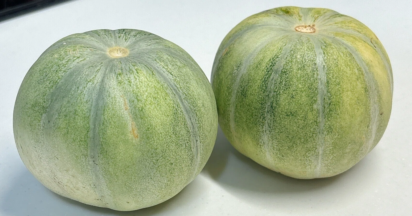 ウリが美味しい😍もはやメロン！｜ゆめねこキッチン