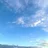 seiichi_y