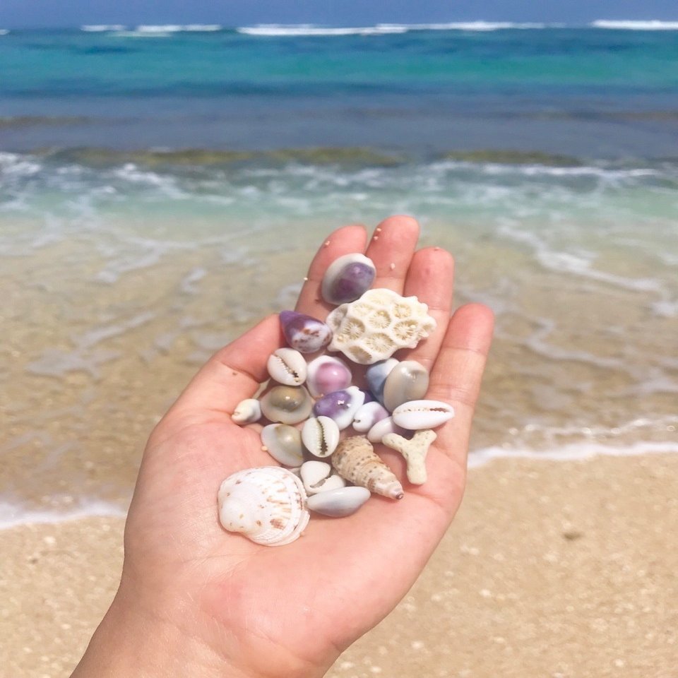 バリ島の海で集めた貝殻で作る作品たち Blue Waters Note