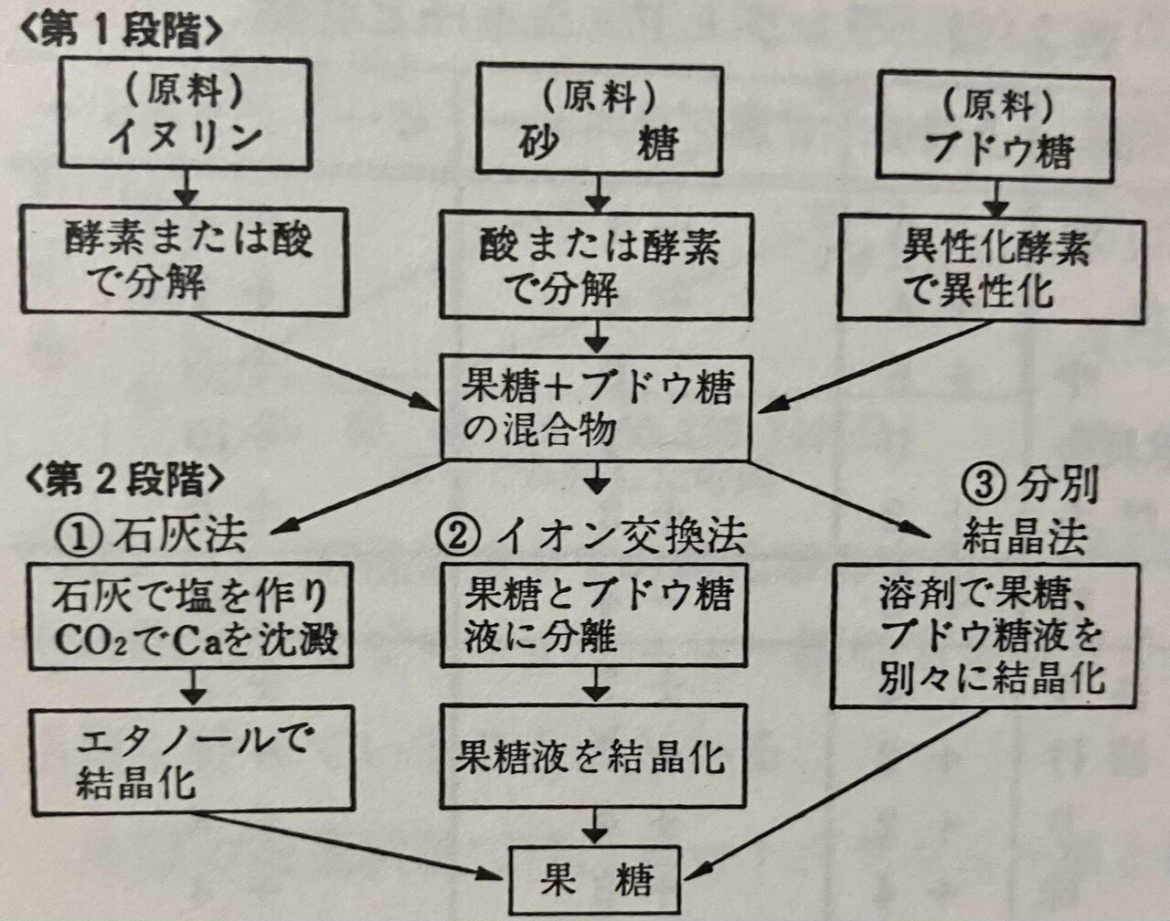 果糖ページ 果糖｜ねねと