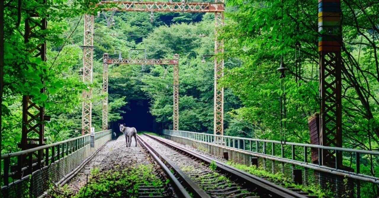横川〜軽井沢を越える碓氷峠を再訪 〜 2024年・夏 青春18きっぷの旅