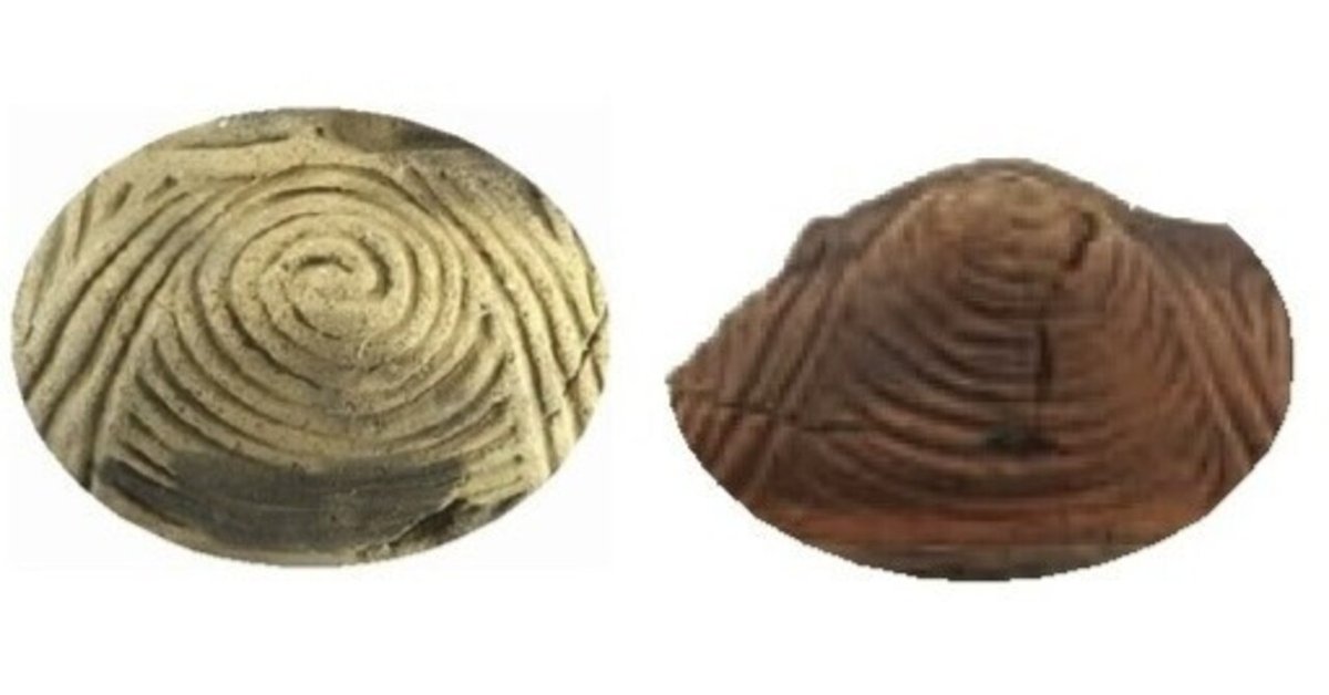 ブラジャー土器と呼ばれた縄文土器 ー 縄文時代中期埼玉の複弧文