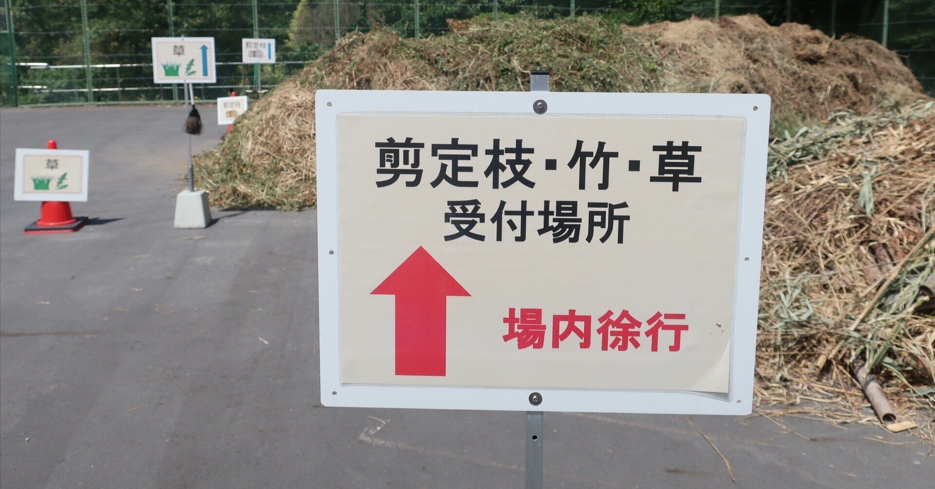 MTBと「剪定枝」（せんていし）