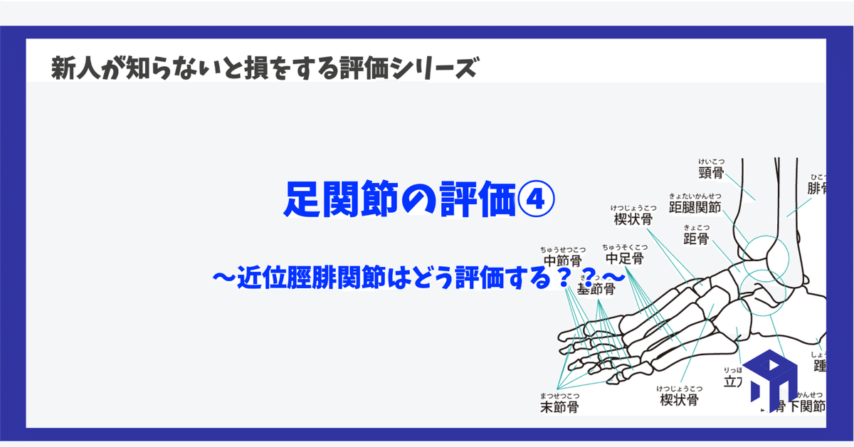 股関節・膝関節•足関節の評価と運動療法 膝関節拘縮の評価と運動療法 改訂版 (拘縮シリーズ) | 林 典雄