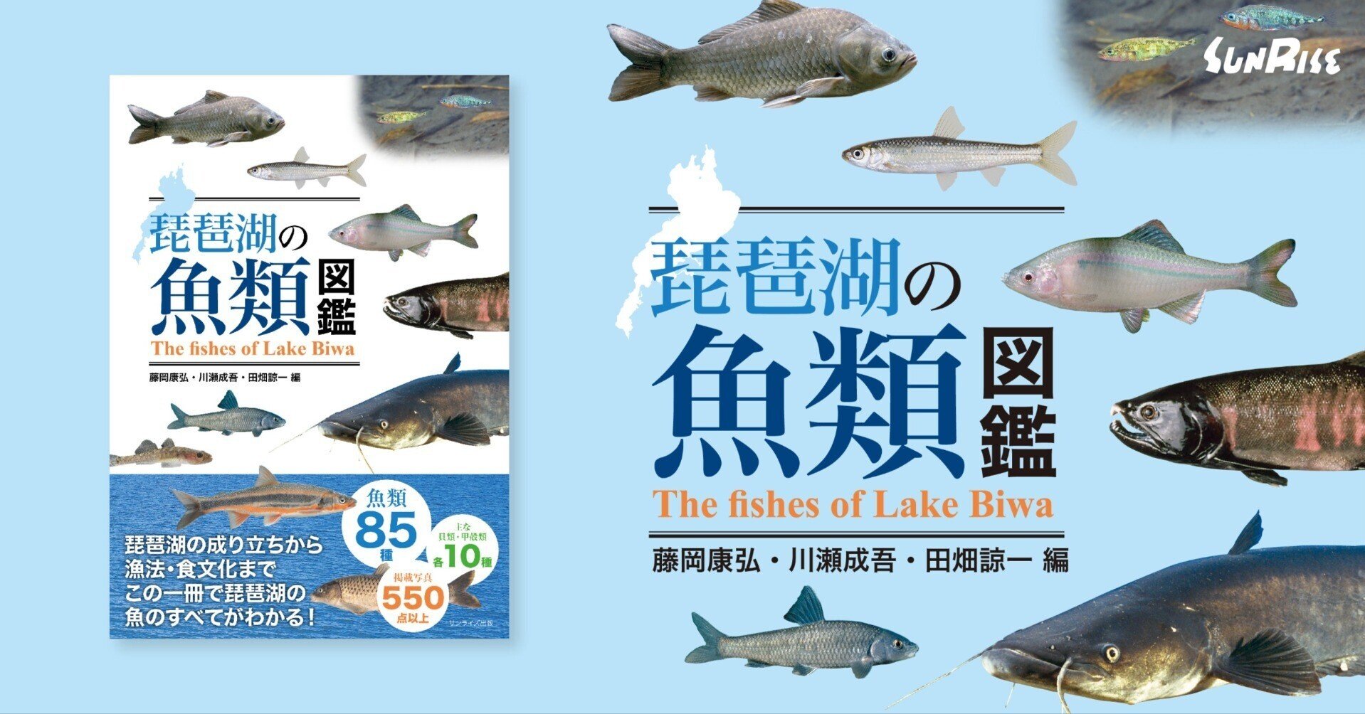 湖国びわ湖の魚たち (1980年) 発売琵琶湖の魚類図鑑｜サンライズ出版＠心に残る本づくり