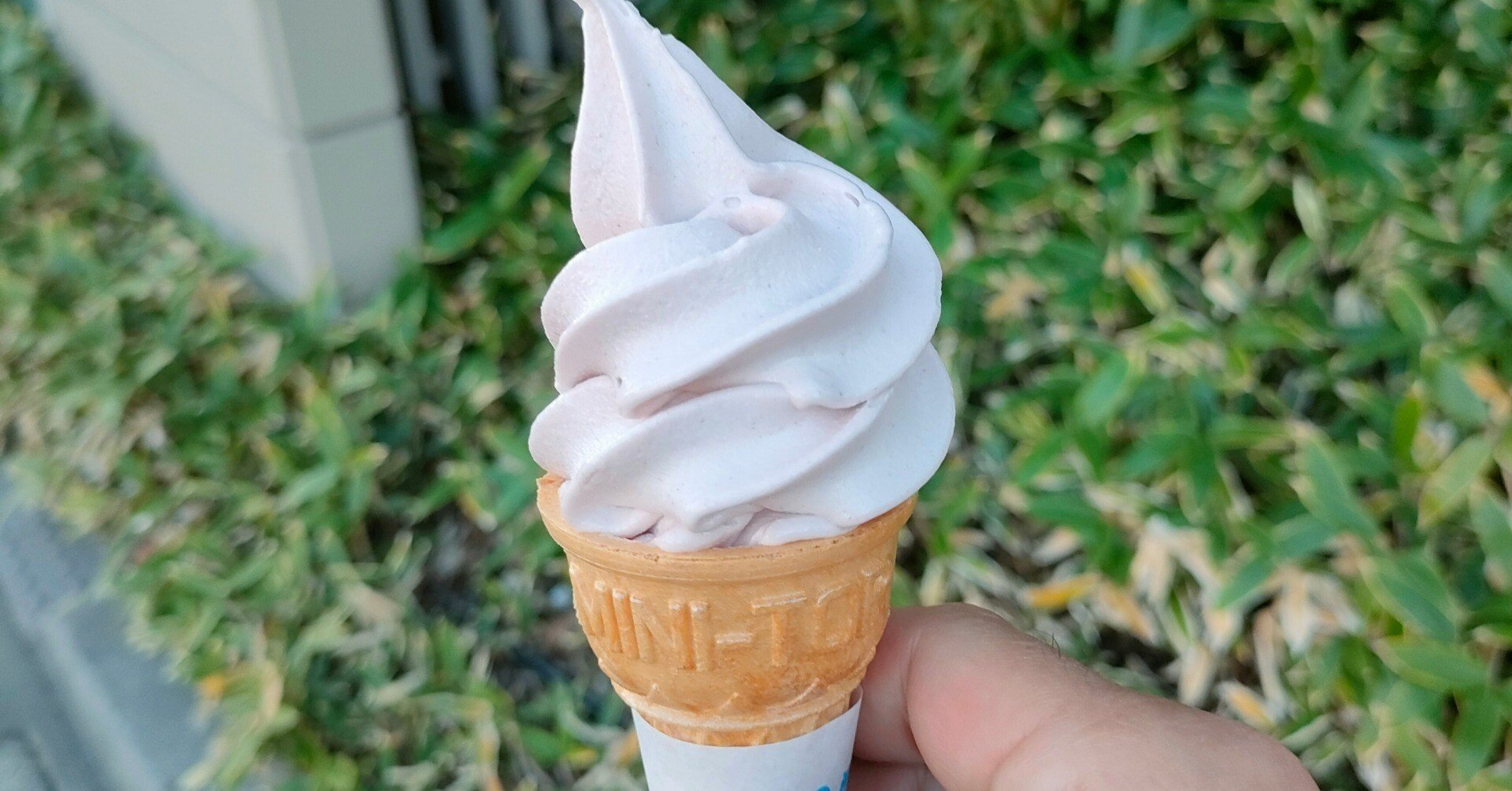 最高の一品！塩ソフトクリーム｜珈琲豆やティアレ～手しごとのあるお店～