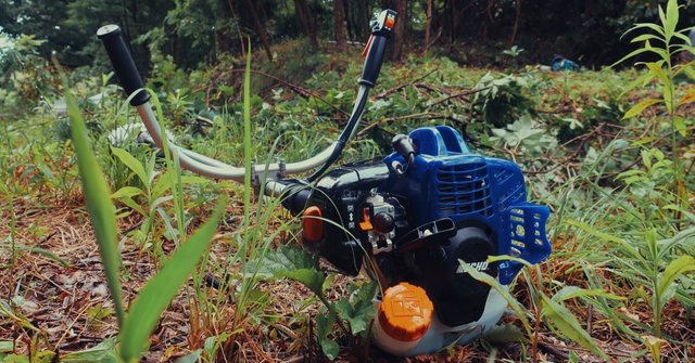 MTBと刈払機
