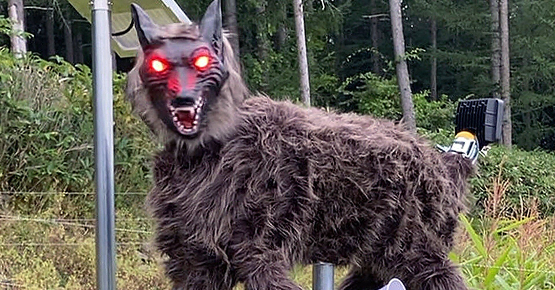 太田精器「モンスターウルフ」 ヒグマ撃退で注目集める／建設業でも