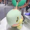 ナエトルっぽい人