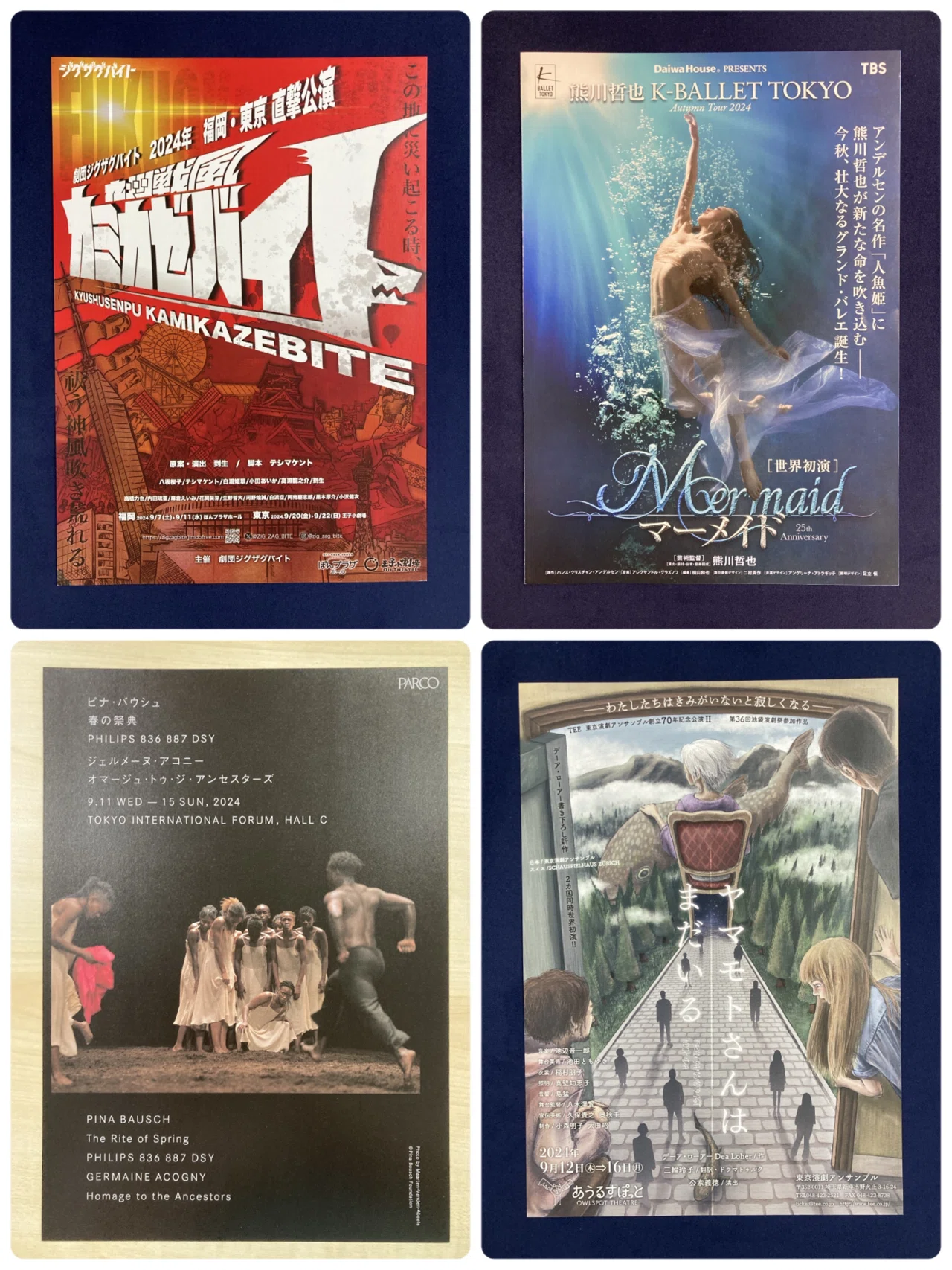 ★かたぱんさま専用★ おまとめオーダー　フライヤー4種セット　チラシ　映画 おちらしさんのチラシ（2024年8月号・舞台版）｜おちらしさんWEB