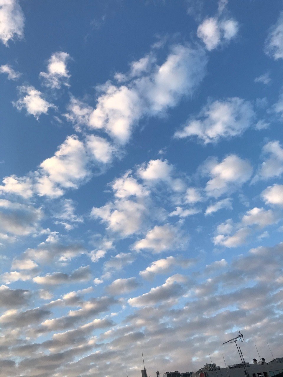 昨日の朝の空 Lulu Note 昨日の朝の空 Lulu Note