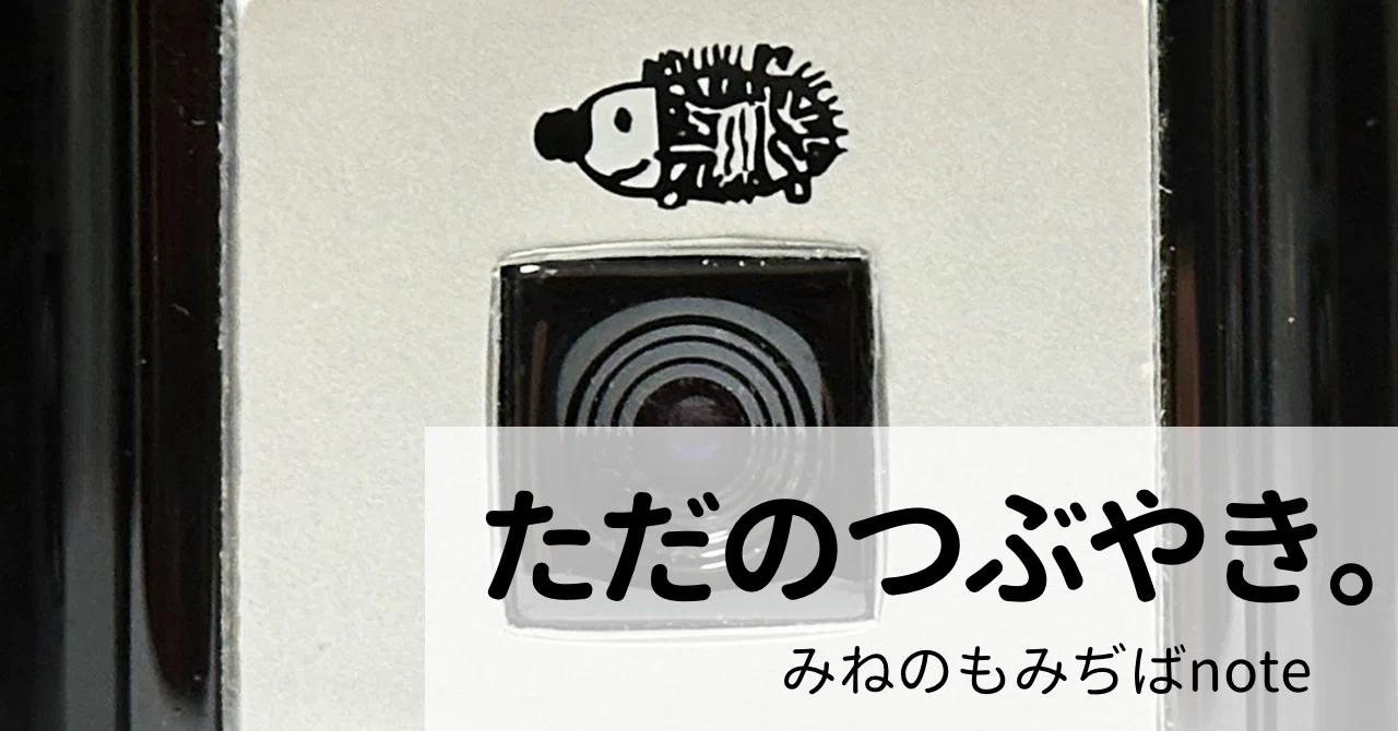 デジタルハリネズミ4.0はやっぱりバッテリー交換お願いすることにしま 