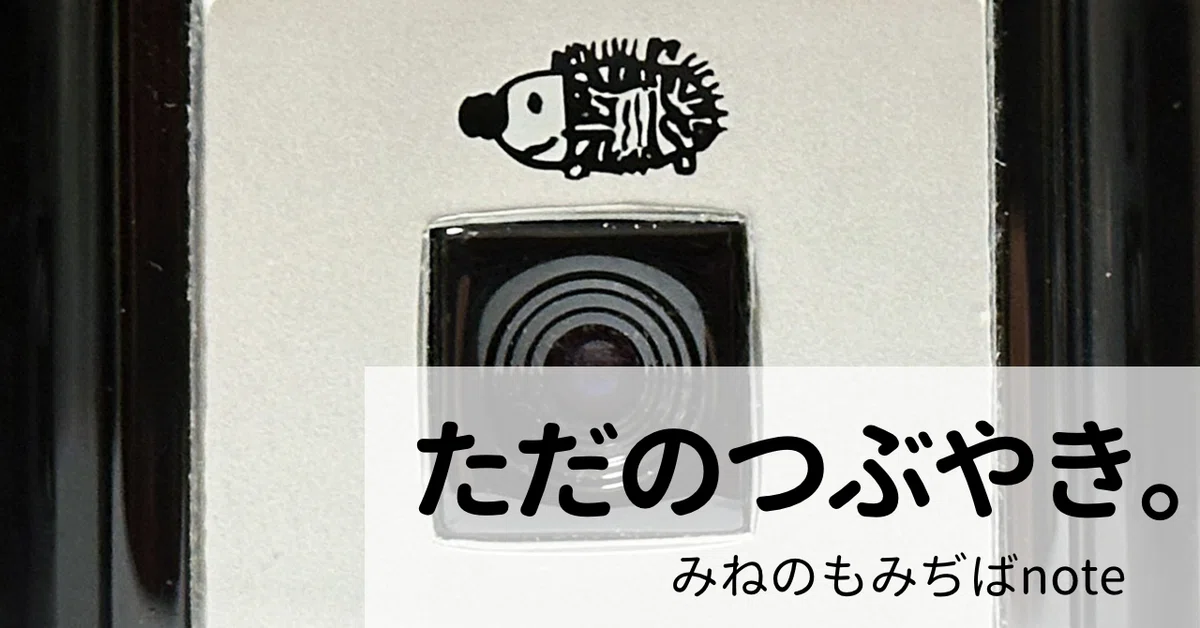 デジタルハリネズミ4.0はやっぱりバッテリー交換お願いすることにしま