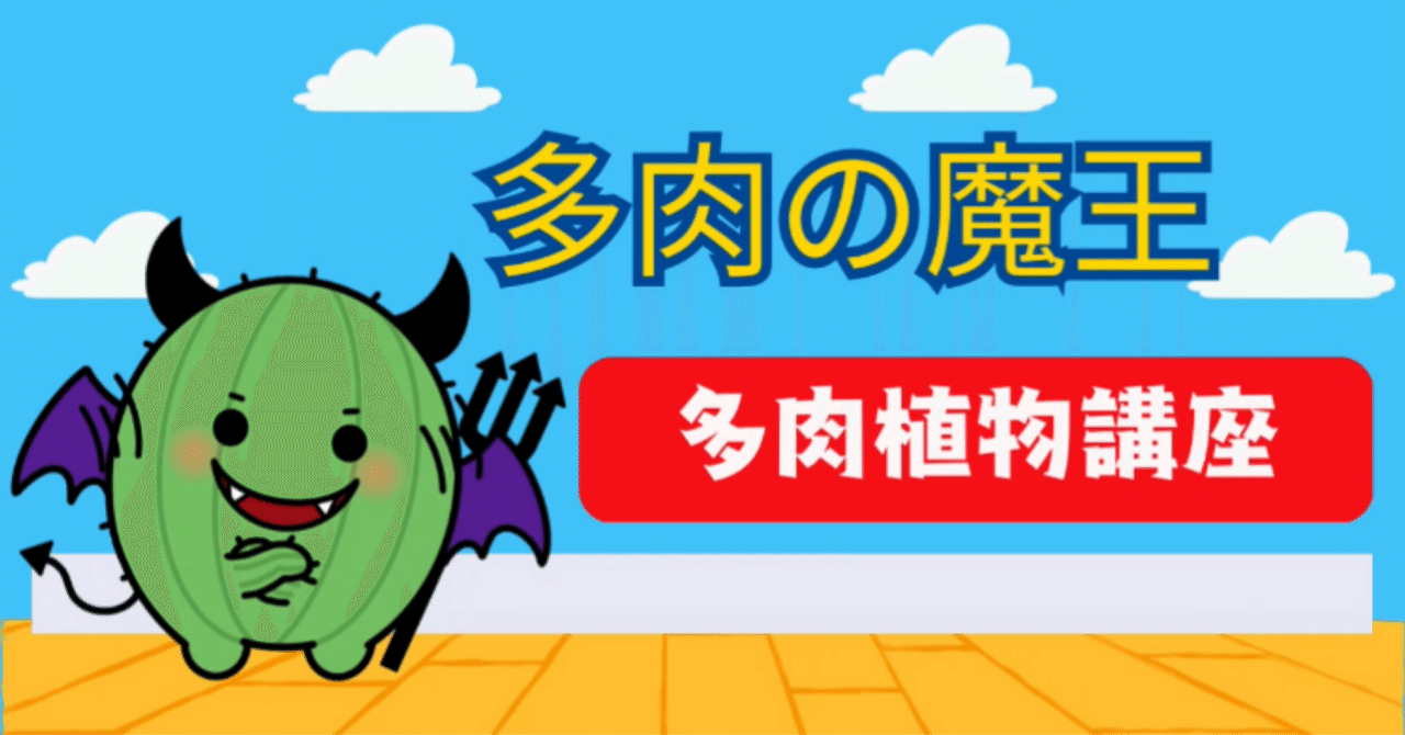 アガベ 笹の雪の種類について｜ピヨすけ@多肉の魔王