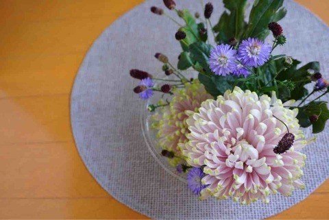 お家でのオシャレな菊の飾り方 Shion Note