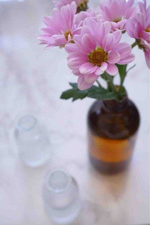 お家でのオシャレな菊の飾り方 Shion Note