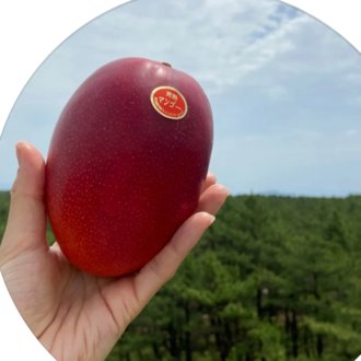 鹿児島県大崎町