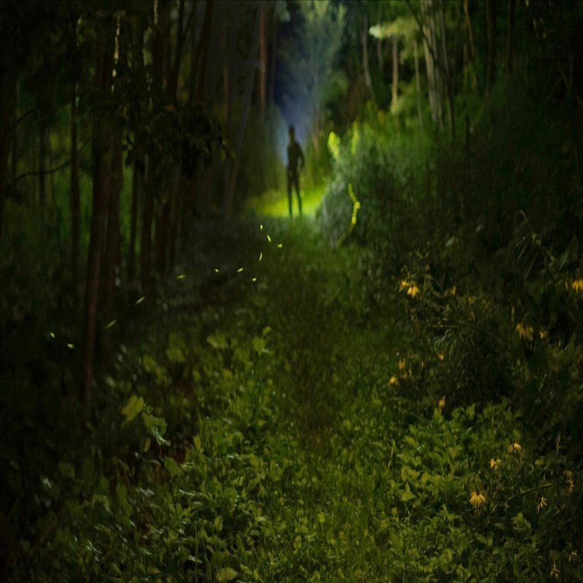 蛍に魅せられて in 栗山町｜くりやまカメラの会